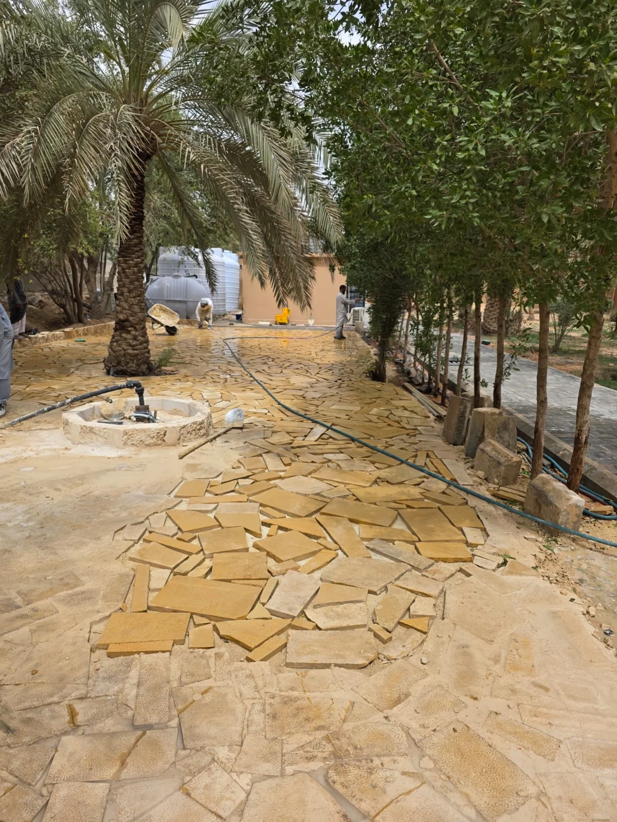 مزرعة عرقة